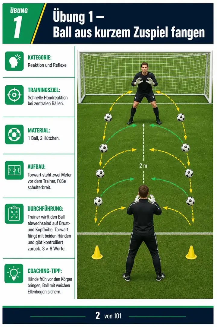 Übungsseite 1: Ball aus kurzem Zuspiel fangen